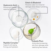 Fill + Repair Eye Cream 15ml