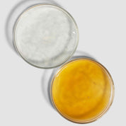 Environ Mela-Fade Serum System