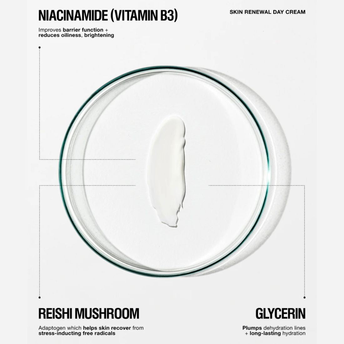Skin Renewal Day Cream 65ml