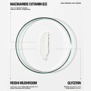 Skin Renewal Day Cream 65ml
