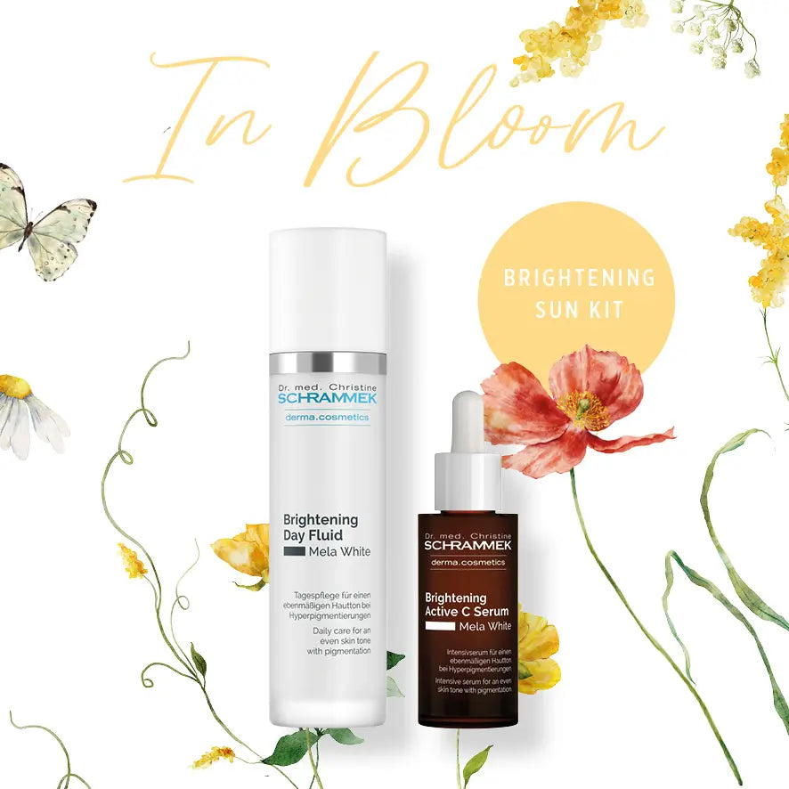 Brightening Sun Kit